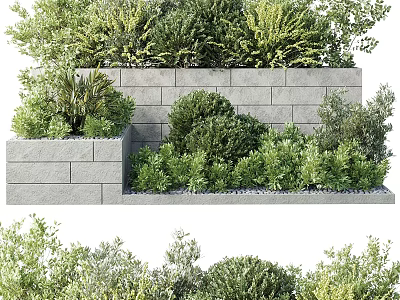 Lush Potted Plants Arranged Against Stone Wall With Green Foliage And Varied Species 3d model
