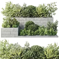 Lush Potted Plants Arranged Against Stone Wall With Green Foliage And Varied Species