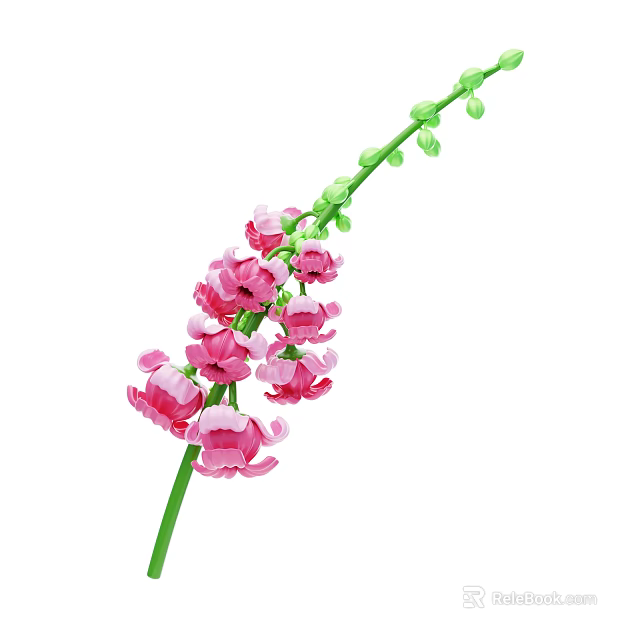 Vibrant Plant with Pink Flowers Green Stem and Fresh Buds 3d model 