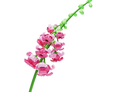 Vibrant Plant with Pink Flowers Green Stem and Fresh Buds 3d model