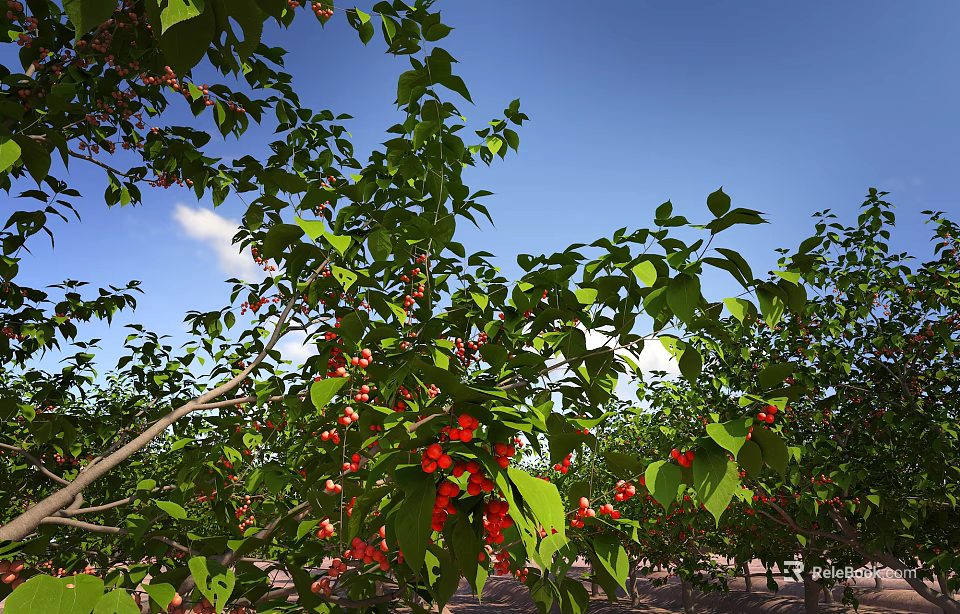 Tree Pit Featuring Lush Green Foliage Red Flowers And Fruits Under Blue Sky 3d model 