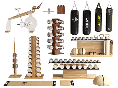 Home Gym Sports Equipment With Dumbbell Rack Adjustable Dumbbells Punching Bags Exercise Bike Medicine Balls 3d model
