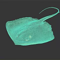 Brown Ray Displaying Flat Body Long Tail And Two Visible Eyes 3d model