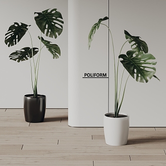 poliform modern potted plant green plant 3d model