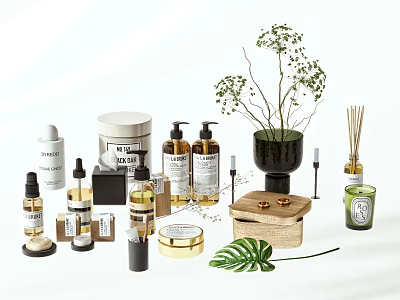 Stylish Bathroom Accessories With Soap Dispensers Aromatherapy Jars Decorative Plants And Storage Boxes 3d model