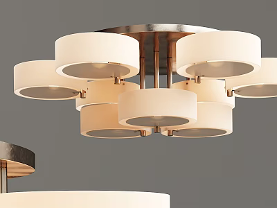 Modern Round Ceiling Light With Multiple Circular Shades And Metal Frame 3d model