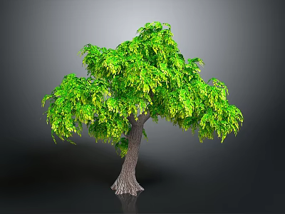 Lush Green Tree With Leafy Canopy And Brown Trunk In Isolated 3D Rendering 3d model