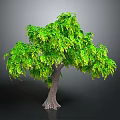 Lush Green Tree With Leafy Canopy And Brown Trunk In Isolated 3D Rendering