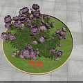 Purple Peony Flowers On Green Round Tray With Gray Floor Tiles