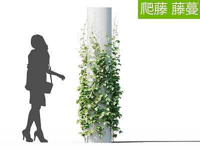 Lush Green Decorative Vines Climbing Column In Outdoor Scene With Woman Silhouette 3d model
