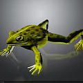Yellow Frog With Black Spots And White Belly And Feet On Gray Background