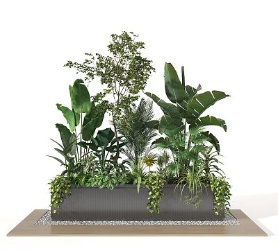 Potted Plants With Various Green Foliage In Rectangular Planter And Pebble Base 3d model