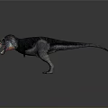 Realistic Tyrannosaurus Rex 3D Model With Open Mouth Colorful Head Texture And Dark Body