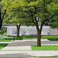 Residential Landscape With Lush Trees Paved Walkway Green Lawn Person Walking And High Rise Buildings