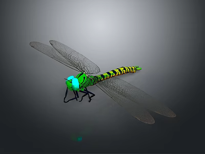 Green Headed Dragonfly With Yellow Green Striped Body And Transparent Wings On Dark Background 3d model