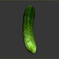 Single Fresh Green Cucumber Standing on Gray Background with Reflection 3d model