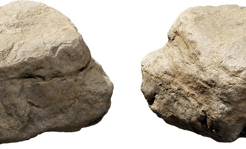 Stone 2020 3d model