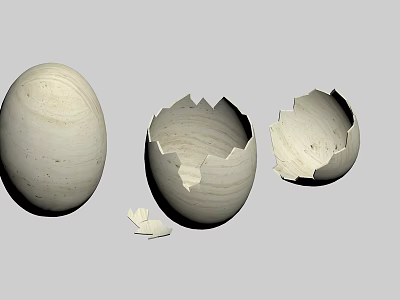 Textured Eggshells in Intact Partially Broken and Cracked States 3d model