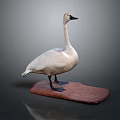 Realistic White Swan Standing on Brown Wooden Base Against Gray Background