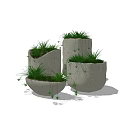 Concrete Bonsai Potted Plants With Irregular Geometric Planters And Green Grass