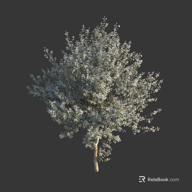 Arbor with Lush Green Foliage and Strong Straight Trunk Structure 3d model