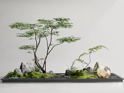 Tranquil Natural Indoor Landscape With Leafy Tree Rocks Green Moss And Round Decorative Ball 3d model
