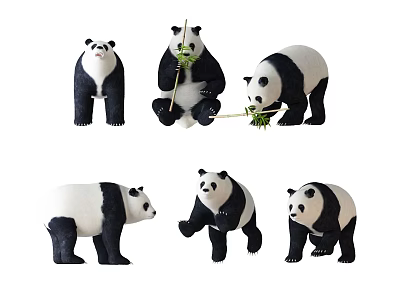 Adorable Panda Stuffed Animals With Different Postures Eating Bamboo And Walking 3d model