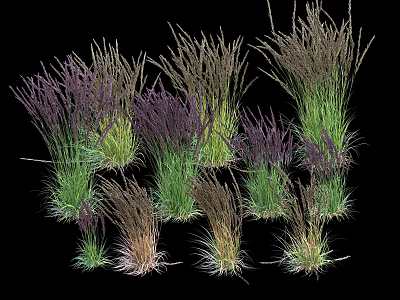 Diverse Ornamental Grass Plants With Green Purple And Brown Foliage Varieties 3d model
