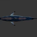 Realistic Blue Shark Aquatic Animal with Lifelike Features and Shiny Sleek Body