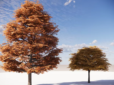 Deciduous Trees With Orange Red And Golden Yellow Leaves Against Blue Sky With White Clouds 3d model