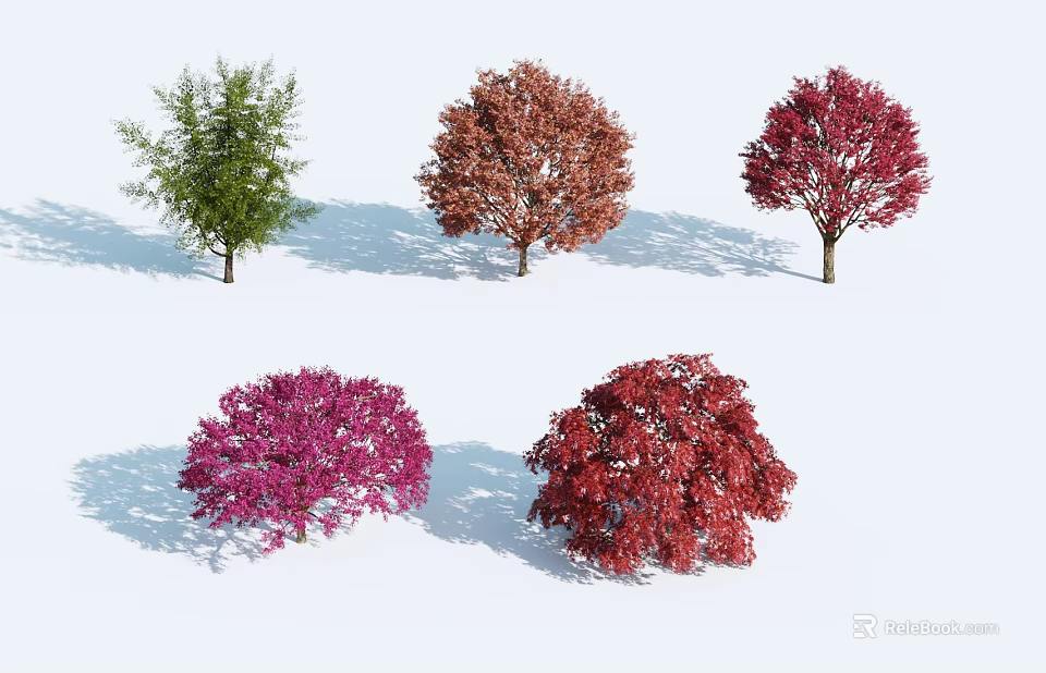 Various Colored Arbor Trees With Canopies Trunks And Shadows On White Background 3d model 