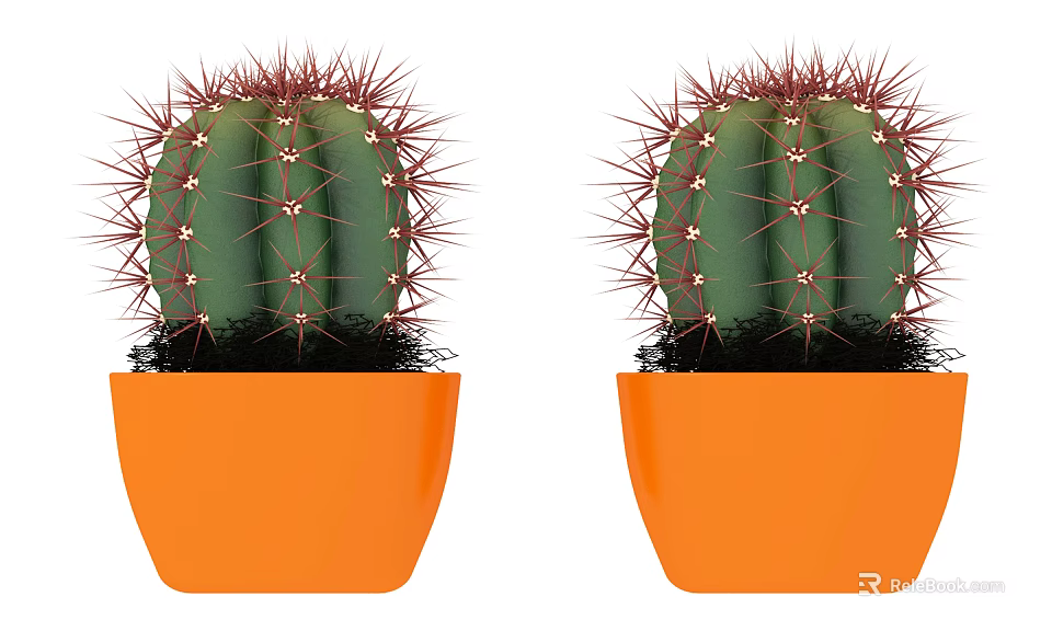 Two Cactus Bonsai Potted Plants in Orange Ceramic Pots for Indoor Decor 3d model 