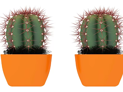 Two Cactus Bonsai Potted Plants in Orange Ceramic Pots for Indoor Decor 3d model