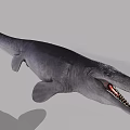 Prehistoric Mosasaurus Marine Reptile With Open Mouth And Sharp Teeth