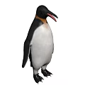 Black And White Reptile Standing Upright With Open Mouth And Webbed Feet