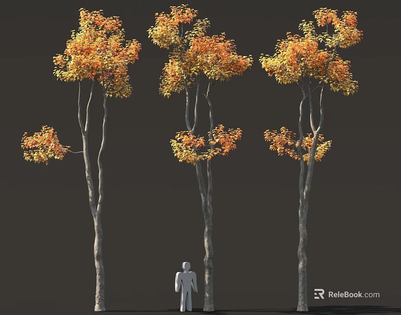 Trees With Orange Yellow Leaves Slender Trunks And Small Figure Under Dark Background 3d model 