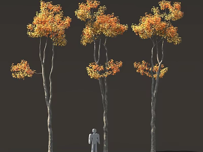Trees With Orange Yellow Leaves Slender Trunks And Small Figure Under Dark Background 3d model