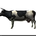 Black And White Holstein Cow Standing In Gray Background 3D Rendering 3d model