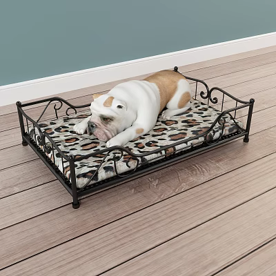 Reptile Lizard Resting On Leopard Print Cushion In Black Metal Frame Bed With Wooden Floor 3d model