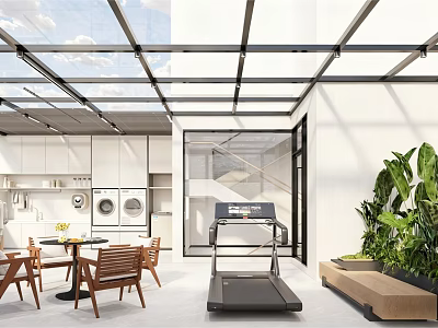 Modern Home Balcony with Glass Roof White Cabinets Treadmill and Green Plants 3d model