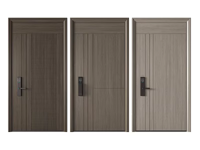 Stylish Security Doors With Electronic Locks And Unique Designs 3d model