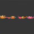 Colorful Lotus Flowers With Blooming Petals In Orange Blue Yellow Pink On Black Background
