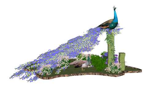 Modern Peacock 3d model