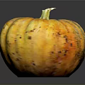 Fresh Yellow Striped Speckled Pumpkin With Reflection On Black Background For Food