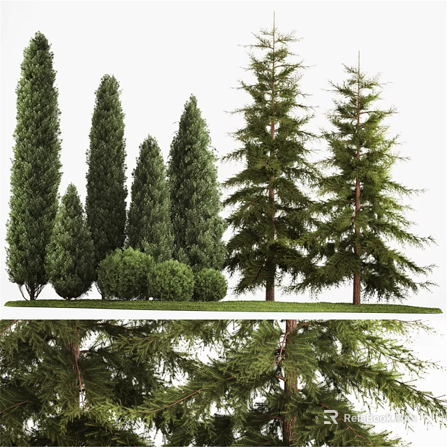 Decorative Ornament Set with Various Green Trees and Lush Grass for Home Decor 3d model 