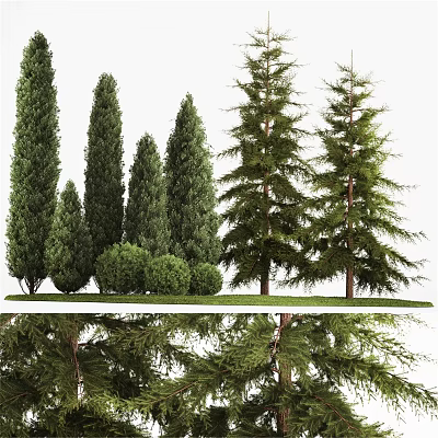 Decorative Ornament Set with Various Green Trees and Lush Grass for Home Decor 3d model