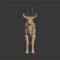 Soft Plush Antelope Toy With Realistic Design For Kids Playtime And Decoration