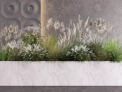 Lush Herbaceous Plants in White Rectangular Planter with Gray Wall and Circular Patterns 3d model