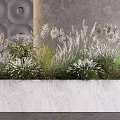 Lush Herbaceous Plants in White Rectangular Planter with Gray Wall and Circular Patterns