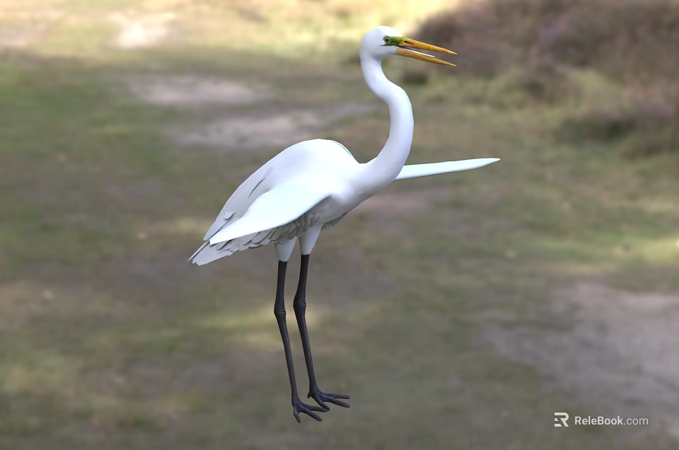 Great Egret Standing With White Plumage Long Legs And Yellow Beak In Grassland Area 3d model 